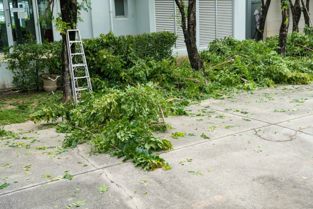 Best Pest Control for Lawns  in La Plata, NM